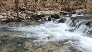 3.12.2024г. Исток р. Черная, Севастополь.