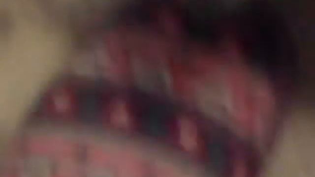 Появилась кошка??|БОНЯ МАТИЛЬДА И СТЕПАШКА• смотреть онлайн