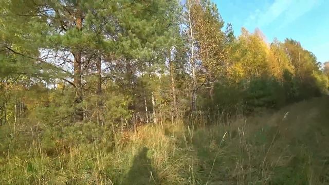 Поисковый магнит ,ночь в деревне 2 серия.