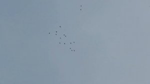 Мои пешеходы ♂️ снимают обувь