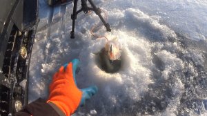 РЫБАЛКА НА ОБСКОМ ВОДОХРАНИЛИЩЕ 🎣🎣🎣🎣 НА СУДАКА.