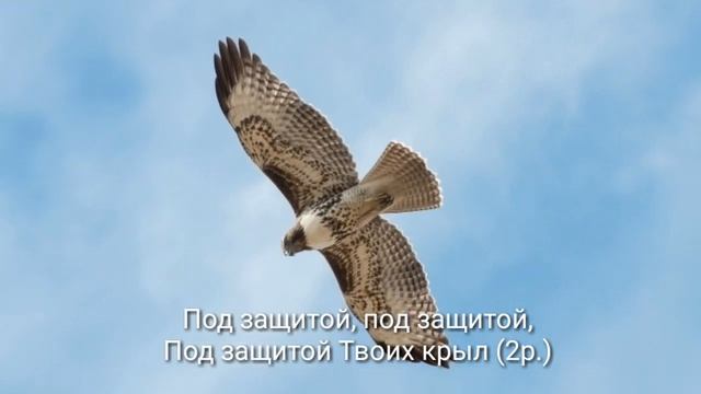 Буду жить под защитой Твоих крыл смотреть онлайн