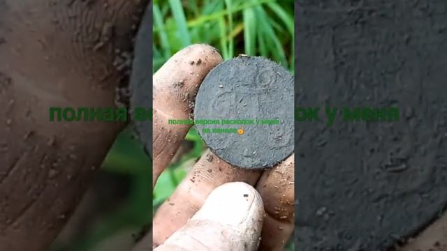 Царизм с Minelab vanquish 540