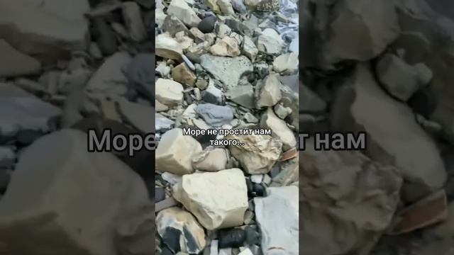 Море простит нам это?
Трагедия в Черном море