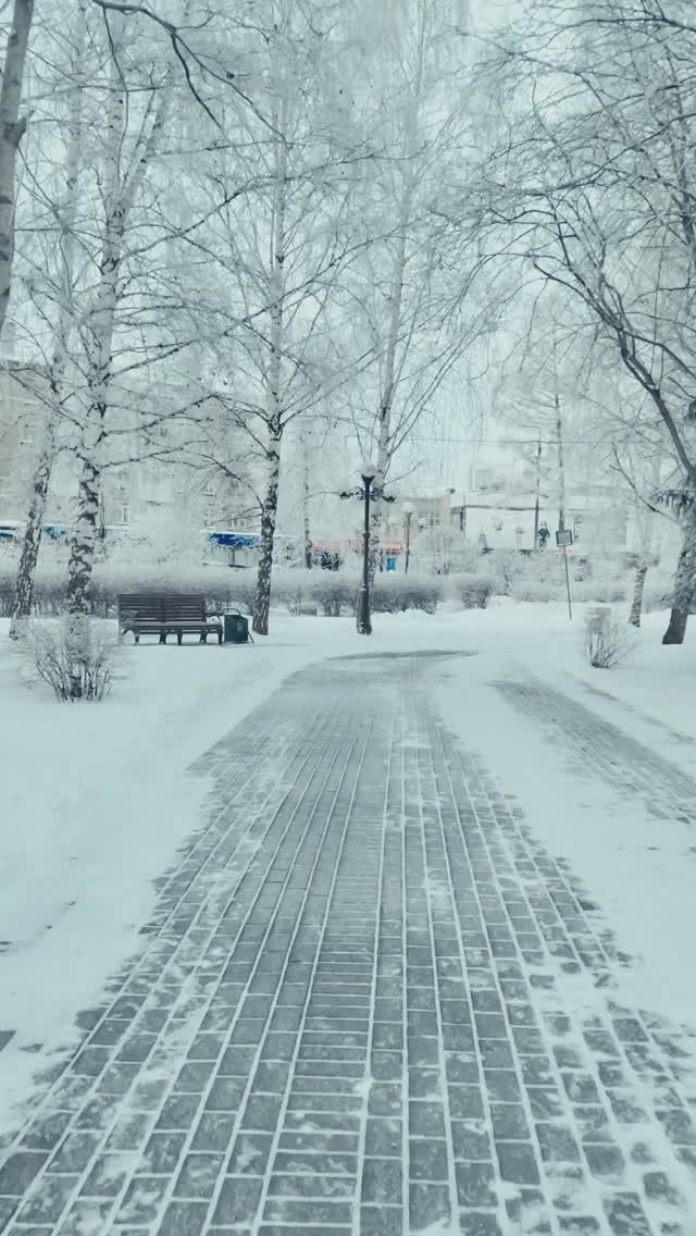 Фэтбайк зимой - город побелел