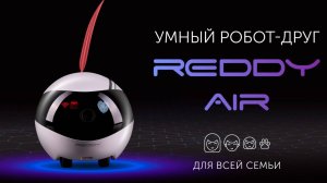 Умный робот-помошник Reddy Air - RED Solution Подарок на Рождество Христово и Новый Год 2025