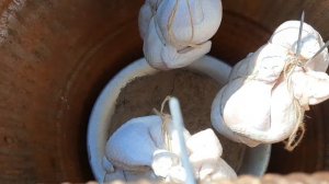 Рецепт маринования курицы и её копчение в коптильне своими руками