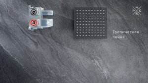 Душевой комплект РМС SUS129BL-2S черный, с изливом