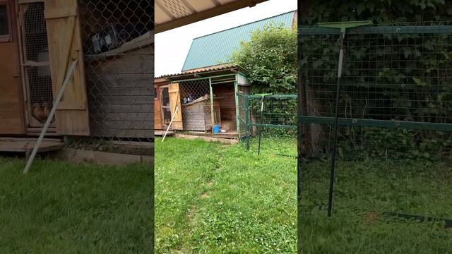 Собачьи апартаменты #собака #собаки #алабай #алабайвидео #деревня #жизньвдеревне #домвдеревне