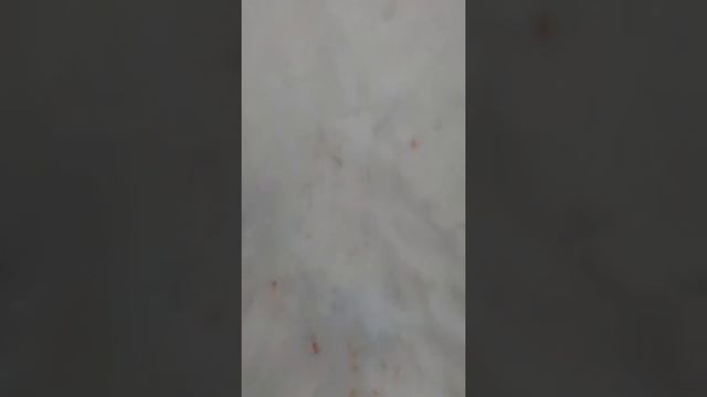 Волки съели собаку!! смотреть онлайн