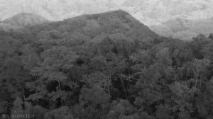 12. 12.  Зинаида Миркина.  Зеркало в зеркале.