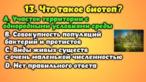 Тест для прокачки и развития мозга #2. Проверьте свой мозг! #викторина #эрудиция