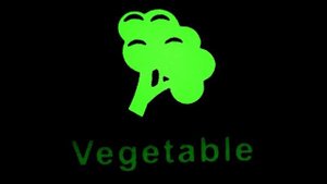 Соковыжималка шнековая RawMID Dream Juicer Modern JDM 80