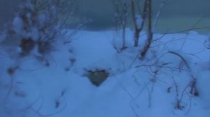 Бродяги Севера. 2  серия. Зимний лес.