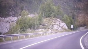 Чике Таман