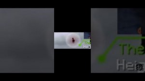 Size comparison Trevor henderson 4.0 From of @TitanThe