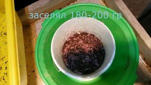 Сею червей через сепаратор ....