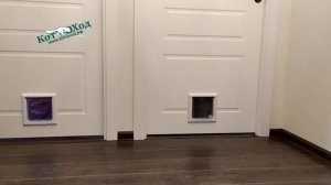 Дверки "Барсик"