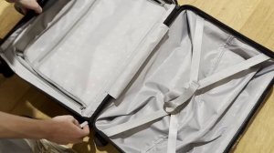 Чемоданы Ninetygo Manhatton Frame Luggage 20 и Rhine PRO Luggage 20 Покупка и распаковка