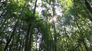 На поле брани  И Ведерников