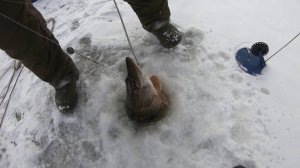 ИДЁМ ЗА КРУПНОЙ ЩУКОЙ!!! ОТ НАС НЕ СПРЯТАТЬСЯ!!! ЗИМНЯЯ РЫБАЛКА 2021-2022 г.