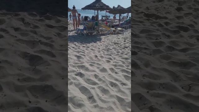 Тунис Пальмира Бич 1 10 2019 смотреть онлайн