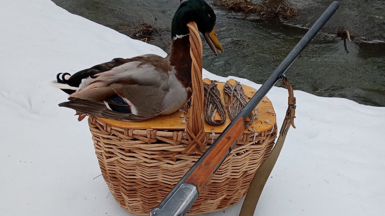 Подсадная переиграла дикую утку, отбила селезня. Открыли весенний сезон с подсадной 2024 г. смотреть онлайн