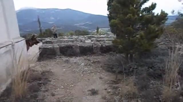 Команда Ищи смотреть онлайн