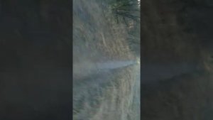 вызвали ырку🏴☠️не смотреть слабонервным🏴☠️