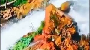 Если я заболею ...