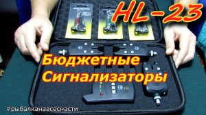 ВИДЕО ОБЗОР . СИГНАЛИЗАТОР  ПОКЛЁВКИ HL 23  . Набор электоронных сигнализаторов с  пейджером