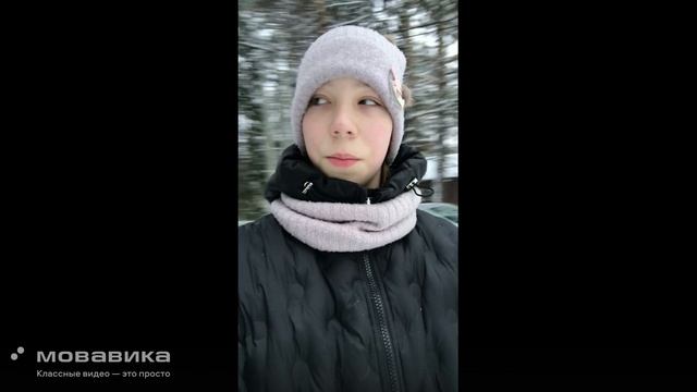 чайка