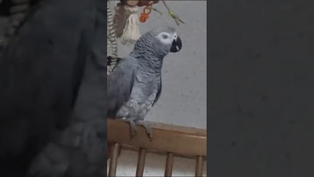 Обалденный ребенок общается! Слушаем с удовольствием... смотреть онлайн