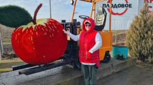 Александровка, ярмарка по вторникам. Обзор, покупки. Едем в Плодовое , за яблоками.