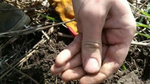 Сын шурфит  фундамент старого дома.mp4