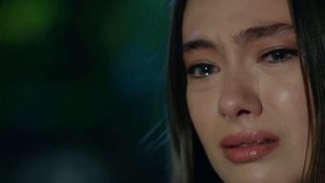 ЛУЧШИЕ ТУРЕЦКИЕ СЕРИАЛЫ С НЕСЛИХАН АТАГЮЛЬ | ТОП - 4