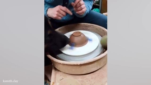 Забавные видео 2024