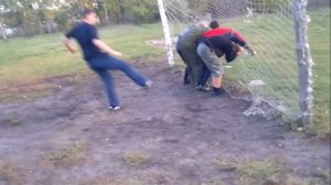 Шапкино жопобей