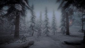 Необычный зимний лес со снегом и метелями