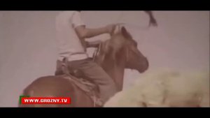 Ногаи Ногайцы тюрки кочевники каршыга аул чечня история