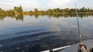 Ловля ЩУКИ на ВОБЛЕРЫ ОСЕНЬЮ! Рыбалка на СПИННИНГ с ЛОДКИ!