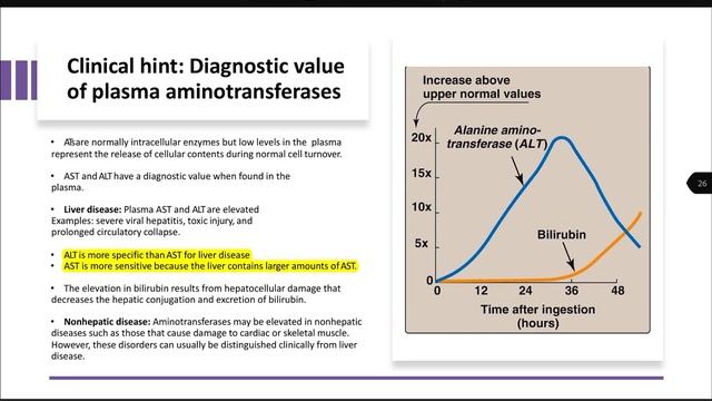 Metabolism | 49 | Disposal of amino-groups смотреть онлайн
