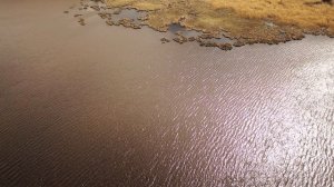 Река Черная/ Исетское озеро