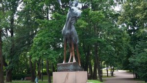 Выборг