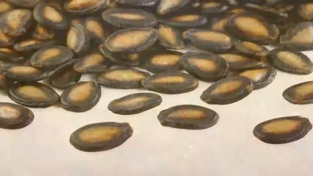 10 Reasons Why You Shouldnt Throw Away The Watermelon Seeds - Amazing