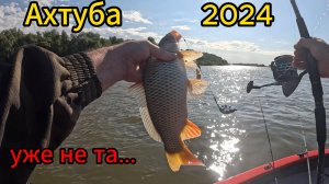 Ахтуба 2024