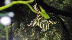 29 апреля 2024 г.