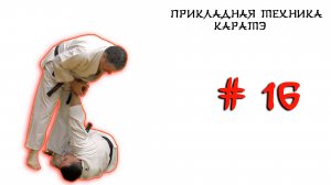 Прикладная техника каратэ. Выпуск № 16