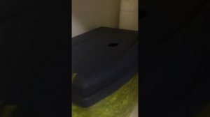 Мой мини Аквариум  на 2 литра