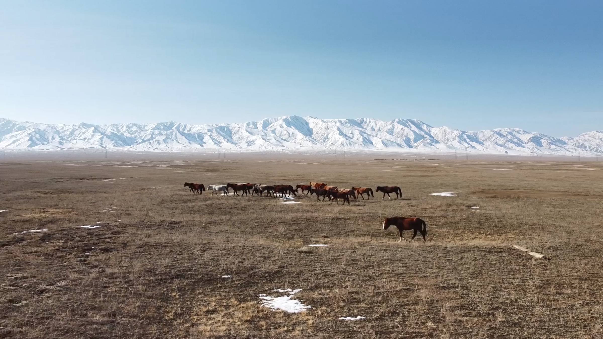 Казахстан (2023)